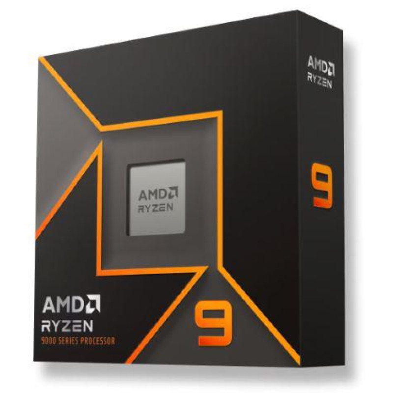 AMD Ryzen 9 9900X